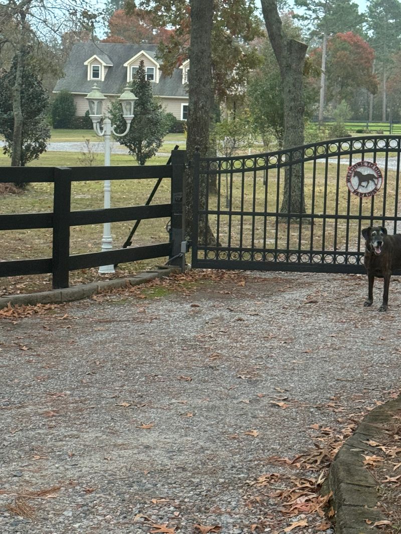 roommates in Aiken Entire Place 2Bed.1Bath - cirtru.com