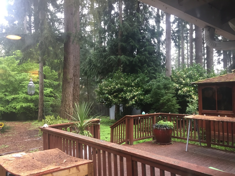 roommates in Bellevue Private Room in 3Bed.2Bath - cirtru.com