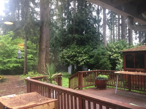 roommates in Bellevue Private Room in 3Bed.2Bath - cirtru.com