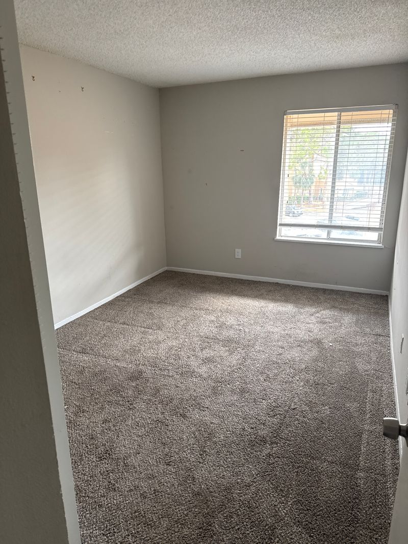 roommates in St. Petersburg Private Room in 3Bed.2Bath - cirtru.com