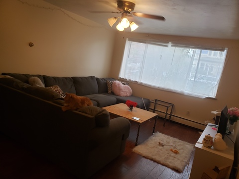 roommates in Denver Private Room in 2Bed.1Bath - cirtru.com