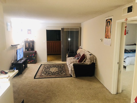 roommates in San Jose Looking Roommate for 1BHK Apt - cirtru.com