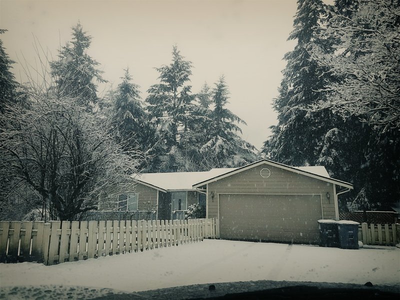 roommates in Spanaway Looking for chill rommates - cirtru.com