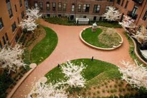 roommates in Boston Private Room in 1Bed.1Bath - cirtru.com