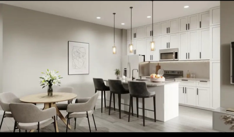 roommates in Tampa Entire Place 1Bed.1Bath - cirtru.com