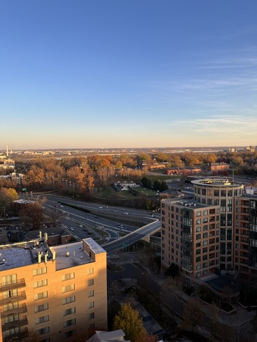 roommates in Arlington Entire Place 1Bed.1Bath - cirtru.com