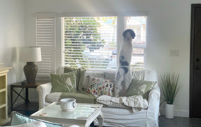 roommates in Glendale Private Room in 2Bed.1.5Bath - cirtru.com