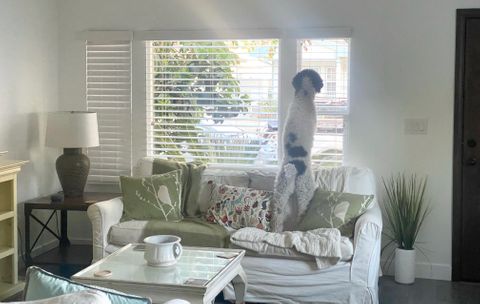 Private Room in 2Bed.1.5Bath