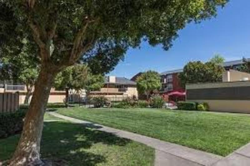 roommates in Fremont 1BHK Apartment For Sharing - cirtru.com