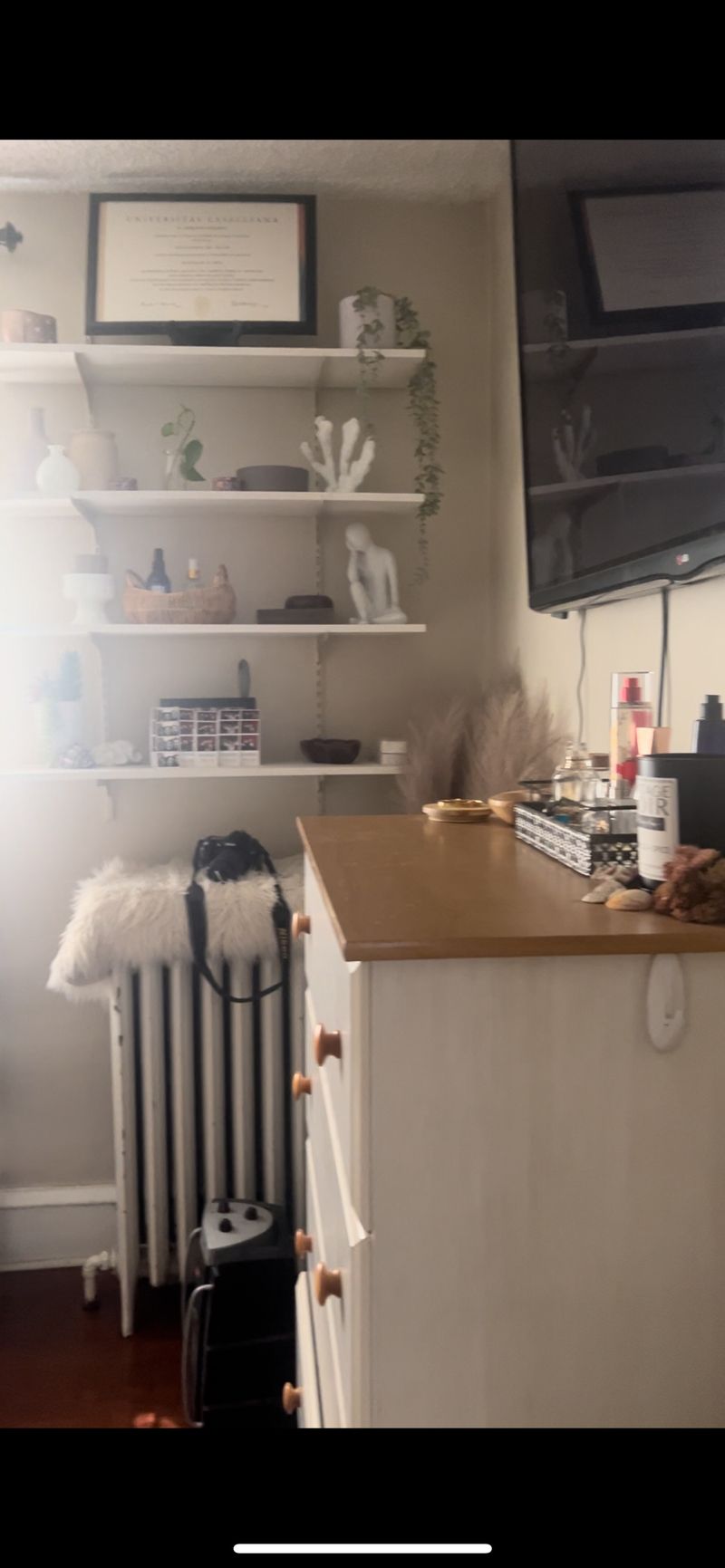 roommates in Philadelphia Private Room in 3Bed.2Bath - cirtru.com