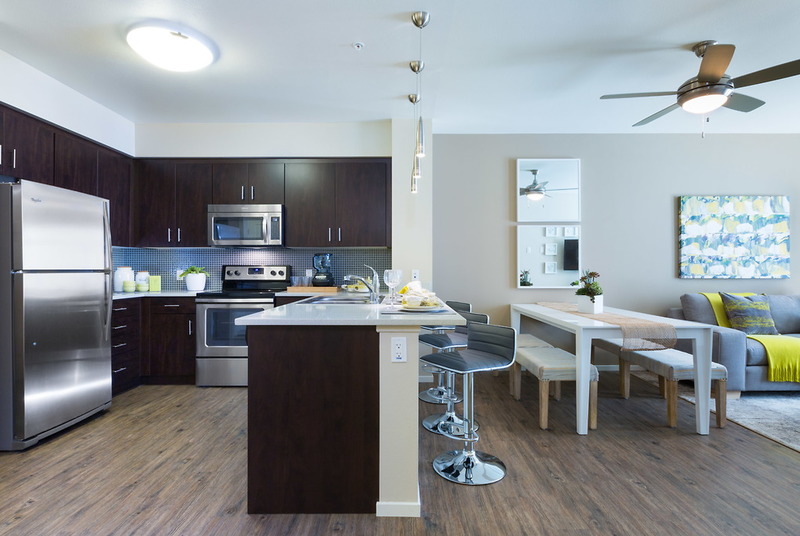 Luxury Apt with Gym + Pool