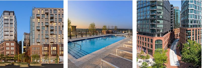 roommates in Washington Entire Place 1Bed.1Bath - cirtru.com