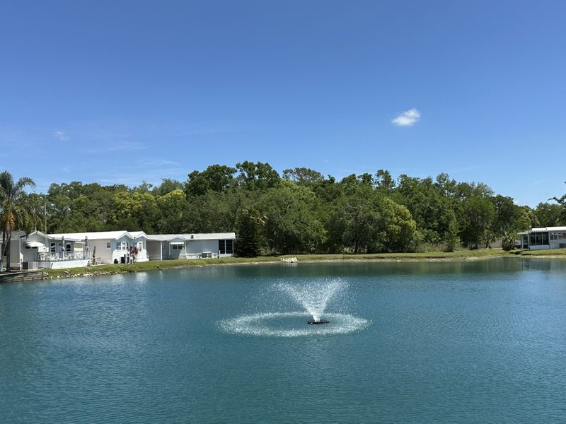 roommates in Zephyrhills Entire Place 1Bed.1Bath - cirtru.com