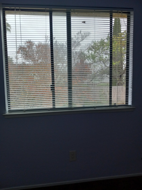 roommates in Vallejo Entire Place 3Bed.3Bath - cirtru.com