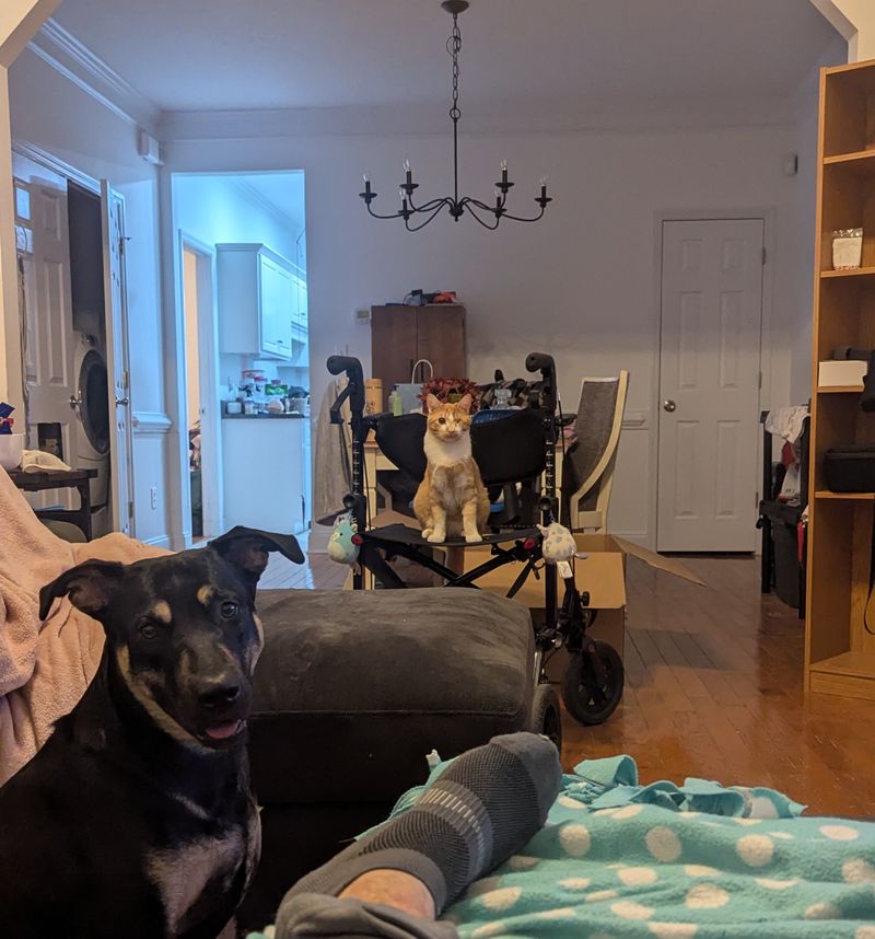 roommates in Martinez Private Room in 3Bed.3Bath - cirtru.com