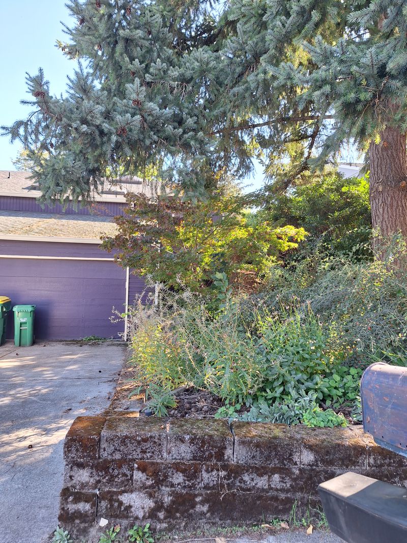 roommates in Aloha Private Room in 3Bed.2.5Bath - cirtru.com