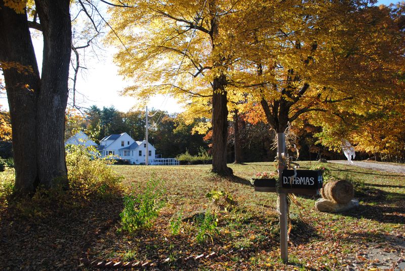 roommates in Standish Entire Place 1Bed.1Bath - cirtru.com