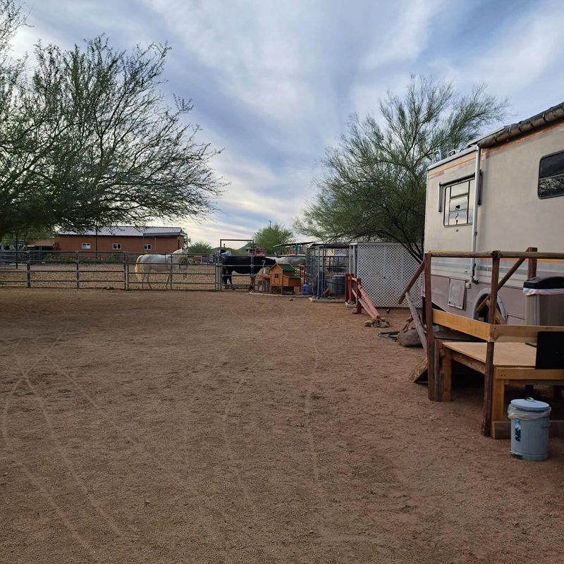 roommates in Undisclosed, Phoenix, AZ 85086 Desert Dove Ranch, peaceful quiet living in mountain view Phoenix  AZ. (id. 31648) - cirtru.com