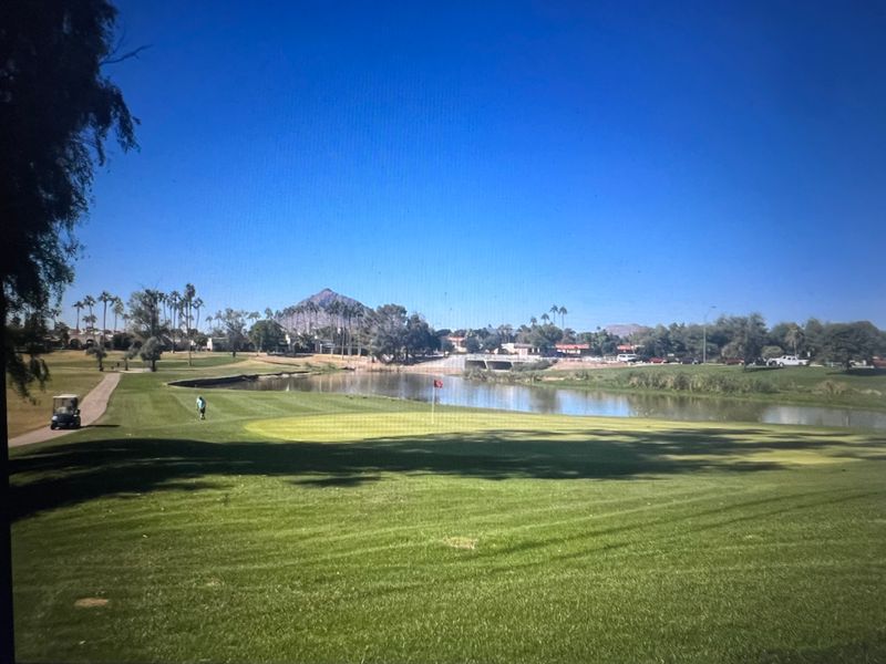 roommates in Scottsdale Entire Place 1Bed.1Bath - cirtru.com