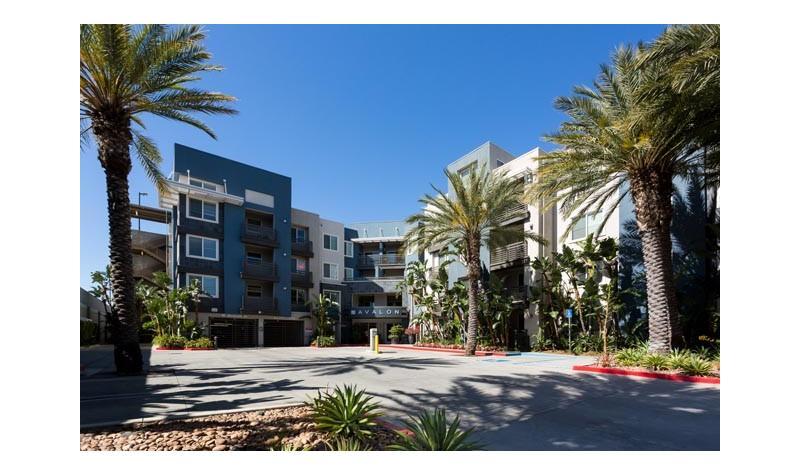 roommates in Los Angeles Entire Place 1Bed.1Bath - cirtru.com