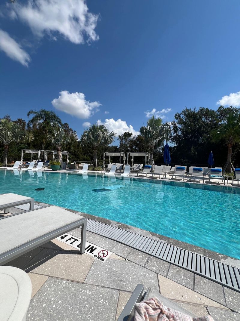 roommates in Clearwater Private Room in 2Bed.2Bath - cirtru.com