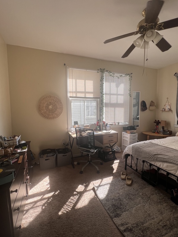 roommates in New Orleans Private Room in 3Bed.2Bath - cirtru.com