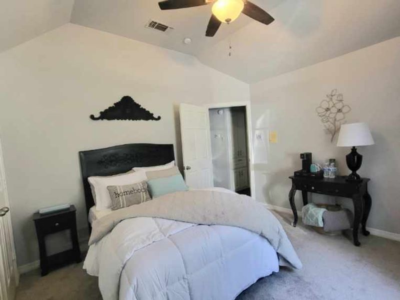 roommates in Cedar Hill Private Room in 4Bed.3Bath - cirtru.com
