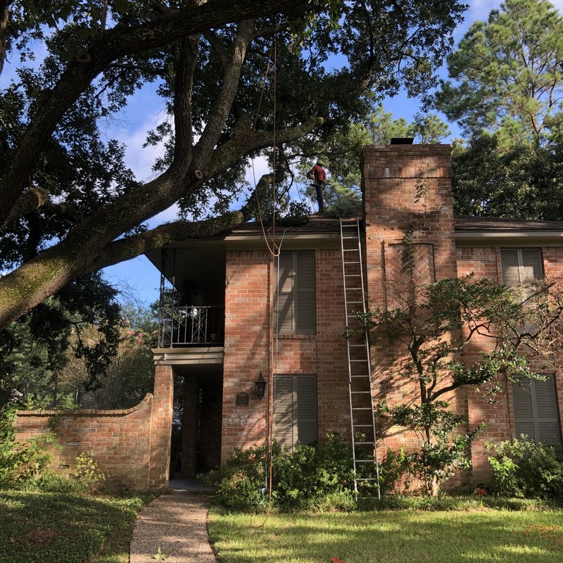 Private Room in Large 4bd Home