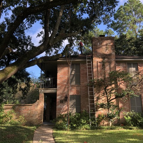 roommates in Houston Private Room in Large 4bd Home - cirtru.com