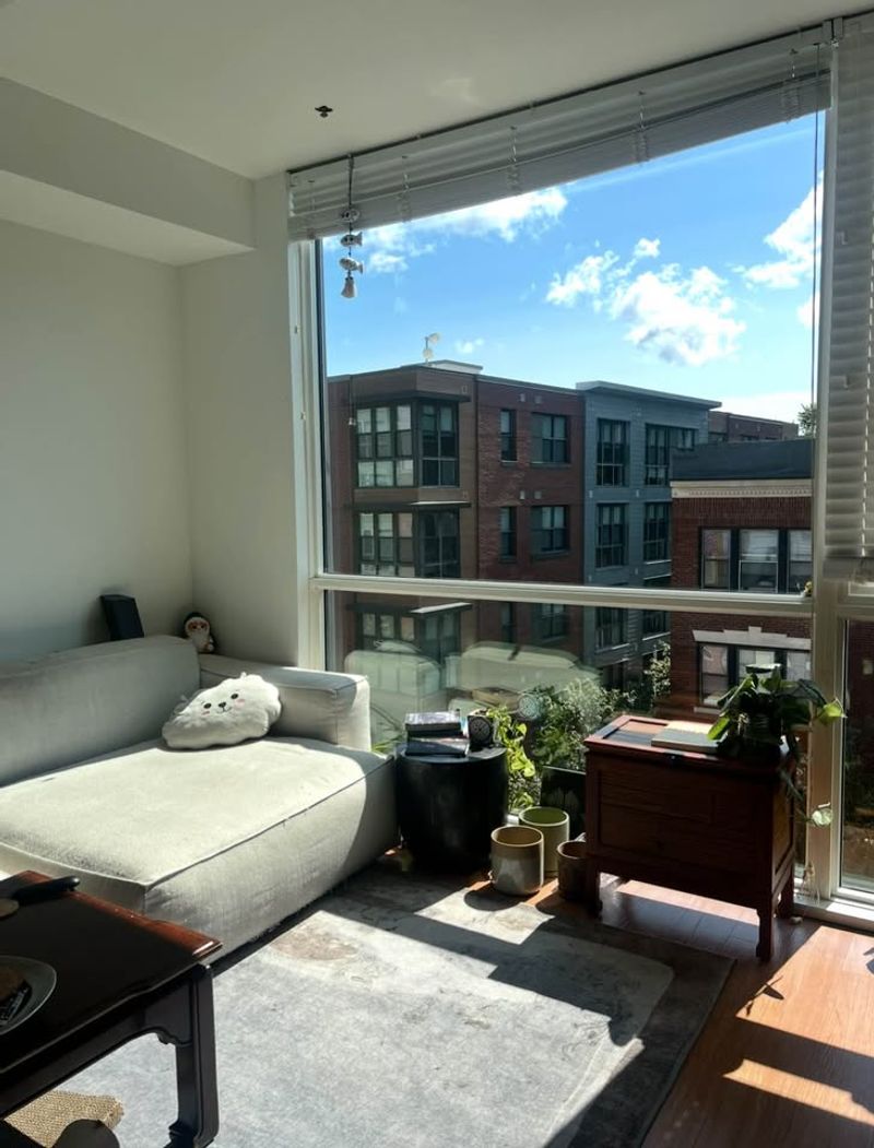 roommates in Allston Entire Place 1Bed.1Bath - cirtru.com