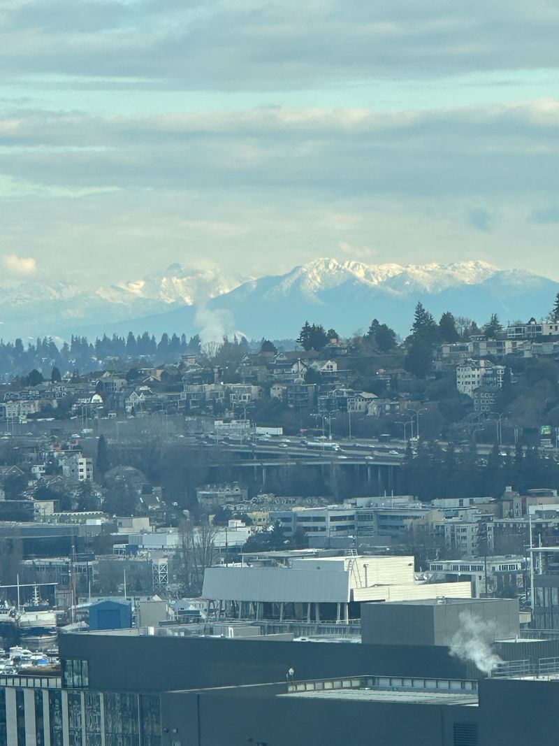 roommates in Seattle Entire Place 2Bed.2Bath - cirtru.com