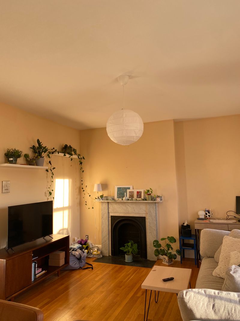 roommates in Boston Entire Place 1Bed.1Bath - cirtru.com