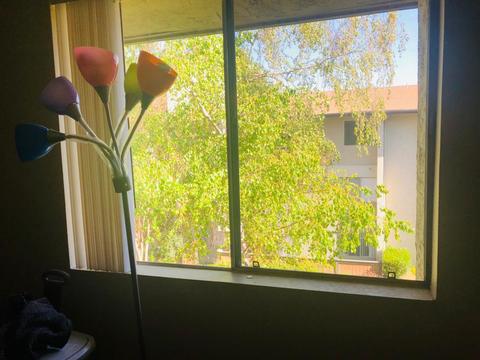 roommates in Sunnyvale Private Room in 2Bed.2Bath - cirtru.com