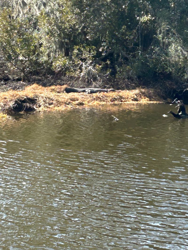 roommates in Slidell Room2Bed.2Bath - cirtru.com