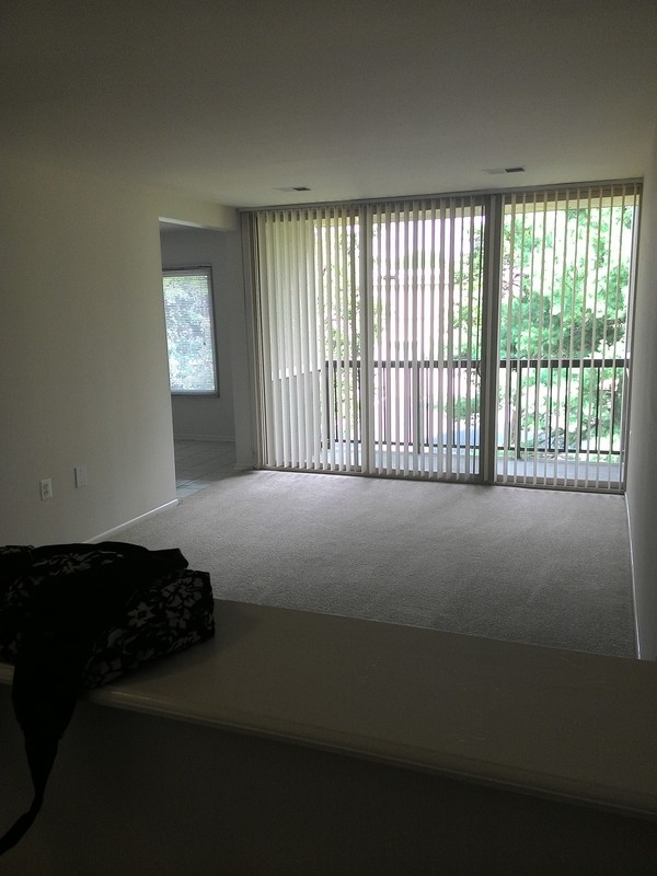 need roommates