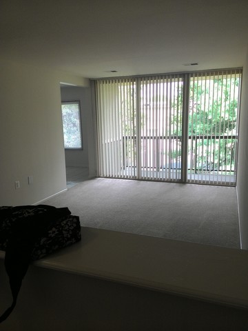 roommates in Tysons need roommates - cirtru.com