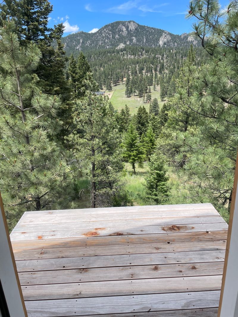 roommates in Clancy Entire Place 1Bed.1Bath - cirtru.com