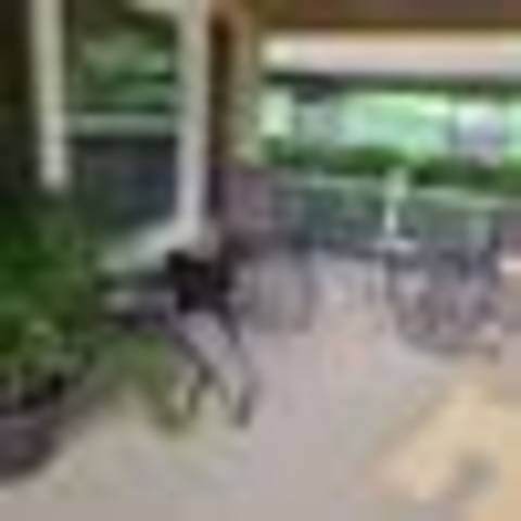 Private Room in 3Bed.2Bath