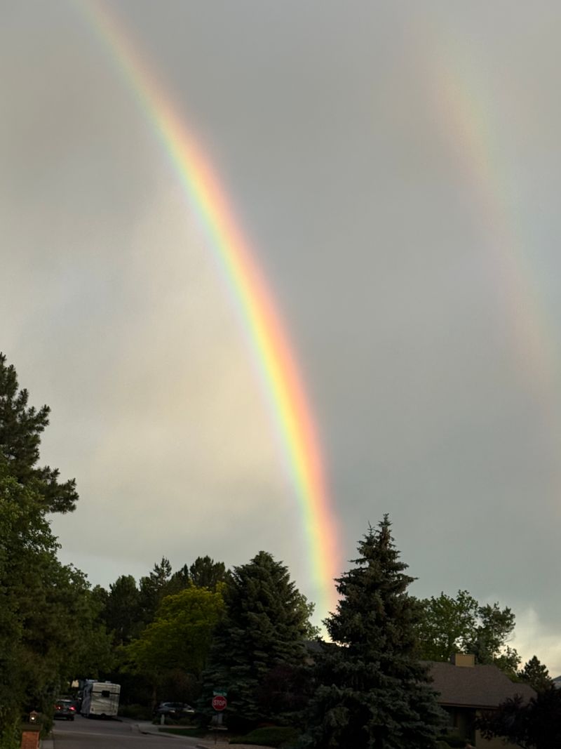 roommates in Golden Private Room in 2Bed.1Bath - cirtru.com