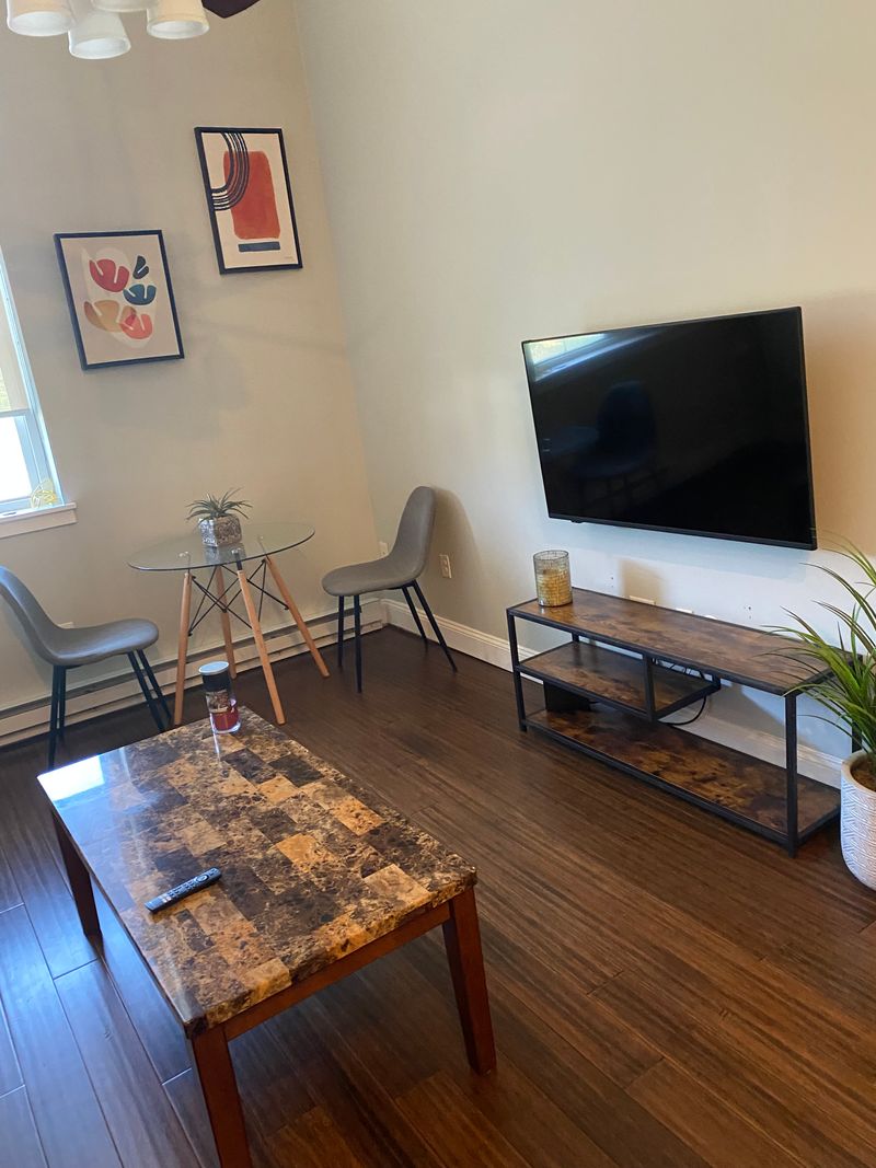 roommates in Jamaica Plain Entire Place 1Bed.1Bath - cirtru.com