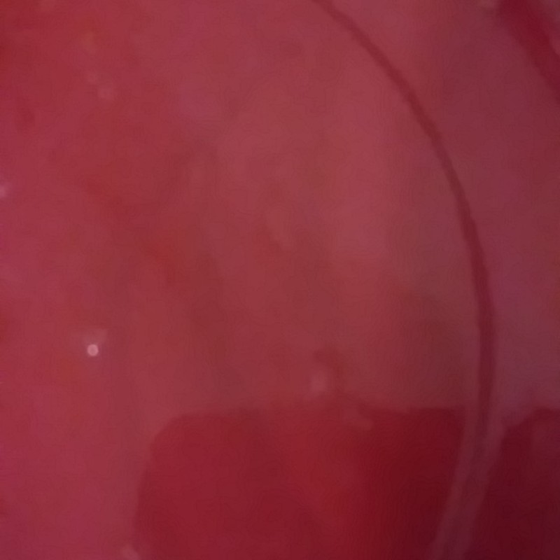 roommates in Maplewood Private Room in 1Bed.1Bath - cirtru.com