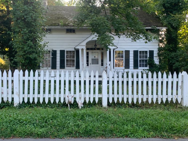 roommates in Summit Private Room in 4Bed.3.5Bath - cirtru.com