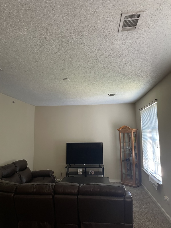 roommates in Raleigh Entire Place 1Bed.1Bath - cirtru.com