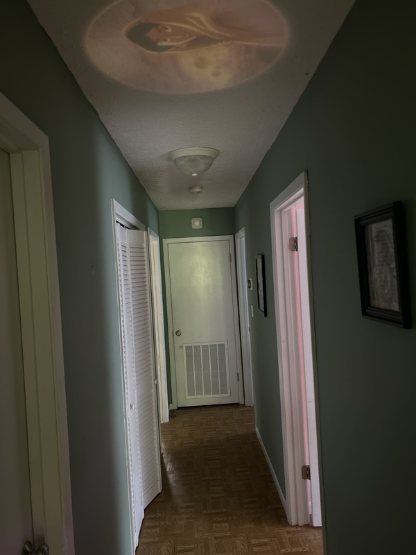 roommates in Panama City Beach Private Room in 3Bed.2Bath - cirtru.com