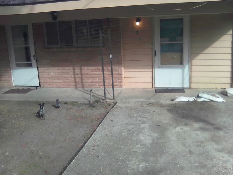 roommates in Gulfport Private Room in 3Bed.1Bath - cirtru.com