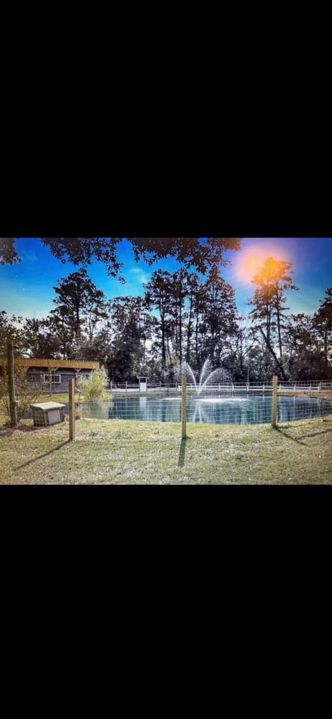 Entire Place 2Bed.1Bath