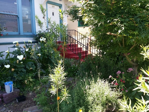 roommates in Oakland Private Room in 3Bed.1Bath - cirtru.com