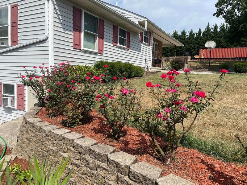 roommates in Frederick Private Room in 3Bed.2Bath - cirtru.com