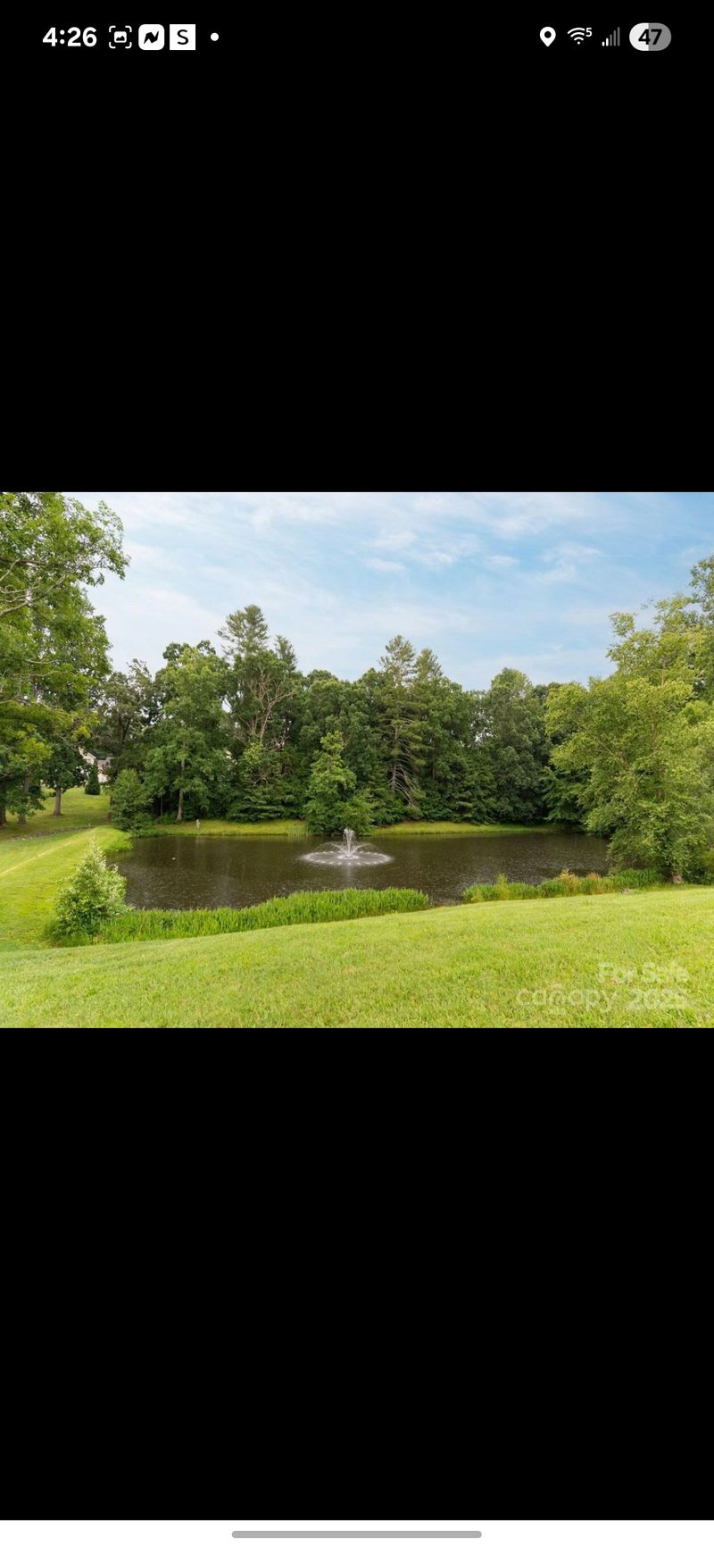 roommates in Mills River Entire Place 1Bed.1Bath - cirtru.com