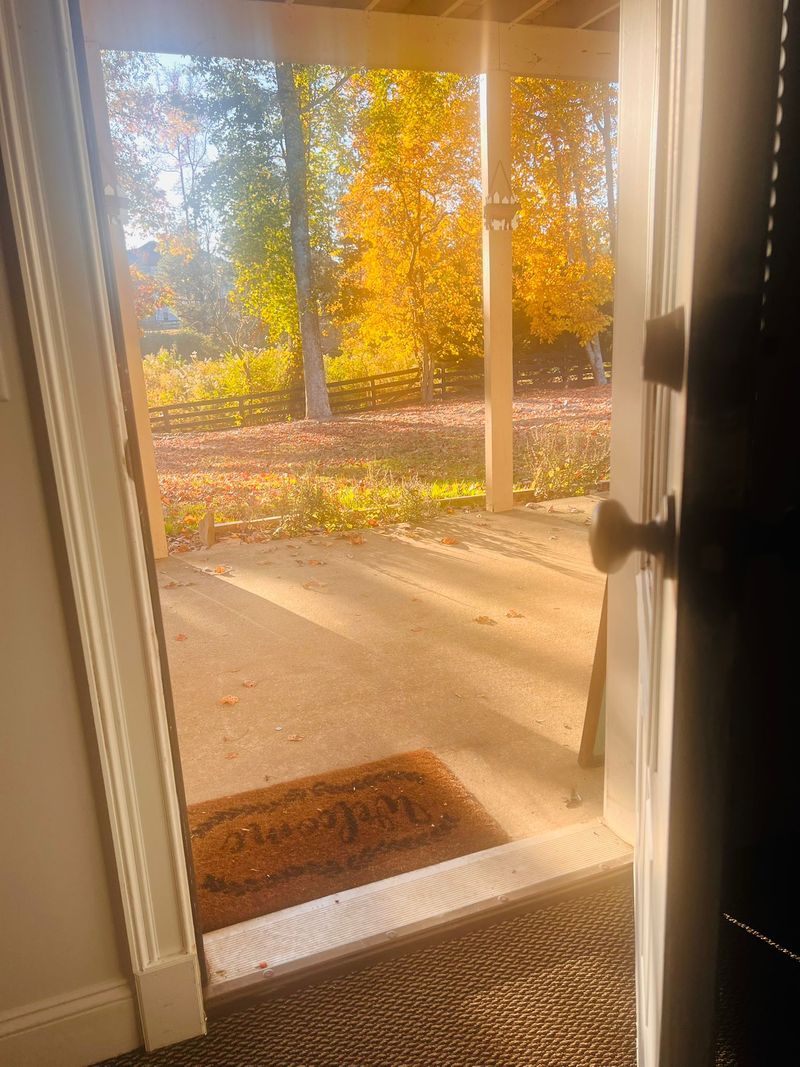 roommates in Cumming Entire Place 1Bed.1Bath - cirtru.com